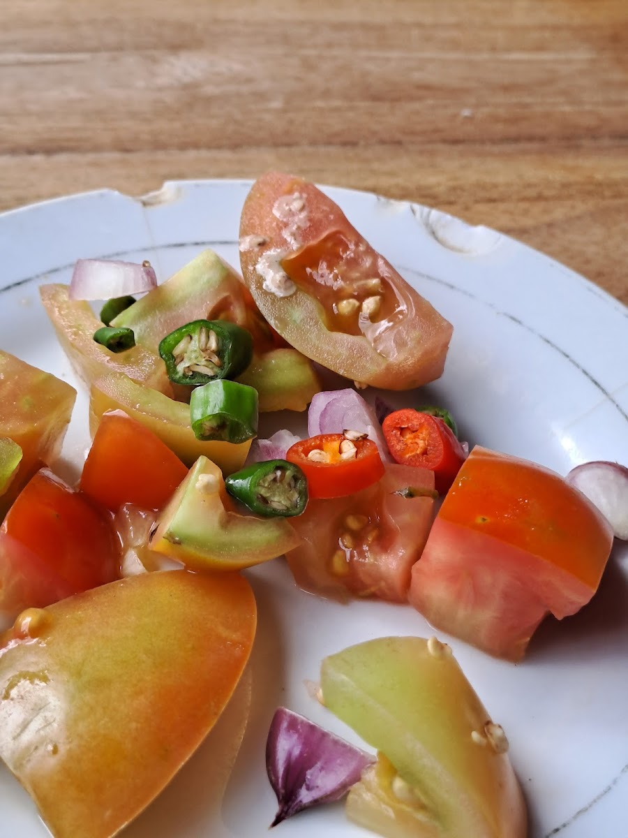Sambal segar dari irisan tomat, bawang merah, dan cabai di atas piring